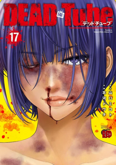 Cover of Vol. 17