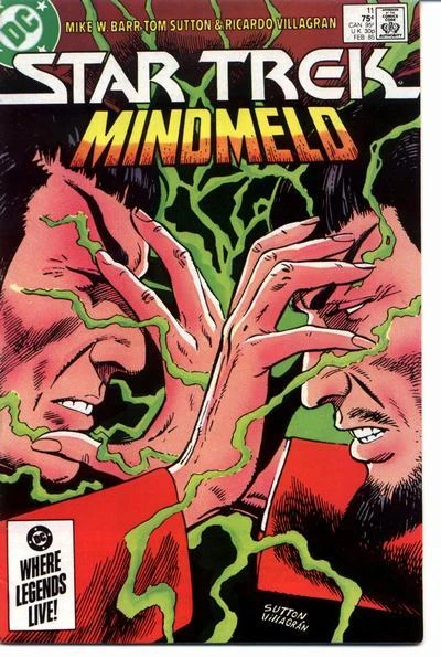 Cover of Deadly Reflection