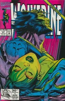 Cover of Death In The Family!