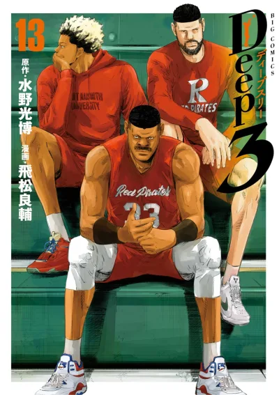 Cover of Volume 13
