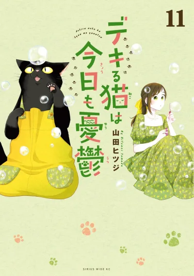 Cover of Vol. 11