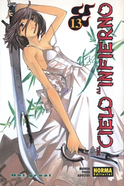 Cover of Issue #13