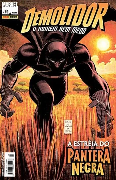 Cover of Issue #29