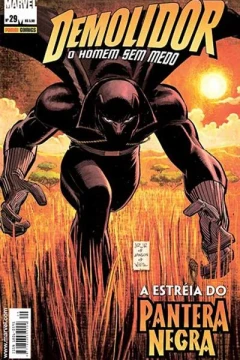 Issue #29
