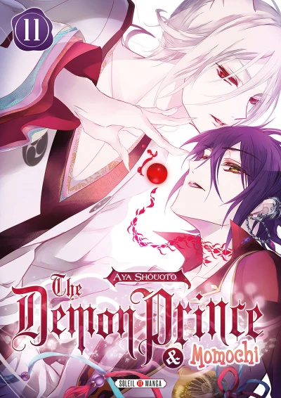 Cover of Tome 11