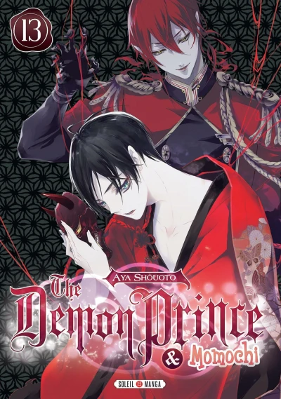 Cover of Tome 13