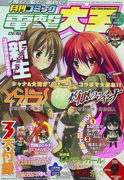 Cover of No. 9, 2008