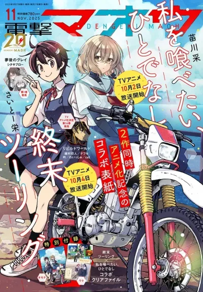 Cover of No. 11, 2025