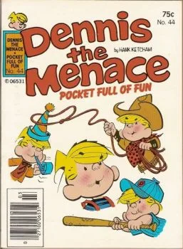Cover of Pocket Full of Fun