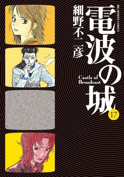 Cover of Volume 17