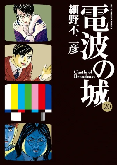 Cover of Volume 20