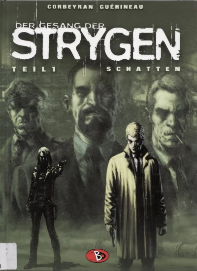 Cover of Schatten