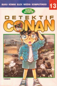 Vol. 13