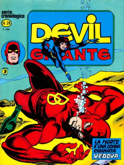 Cover of Issue #28