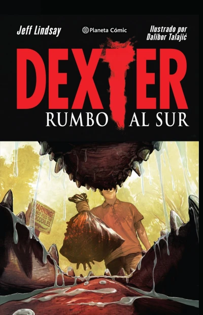Cover of Rumbo al sur