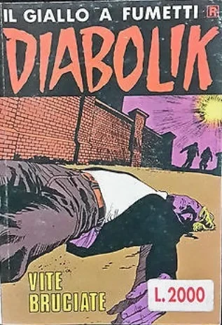 Cover of Vite bruciate