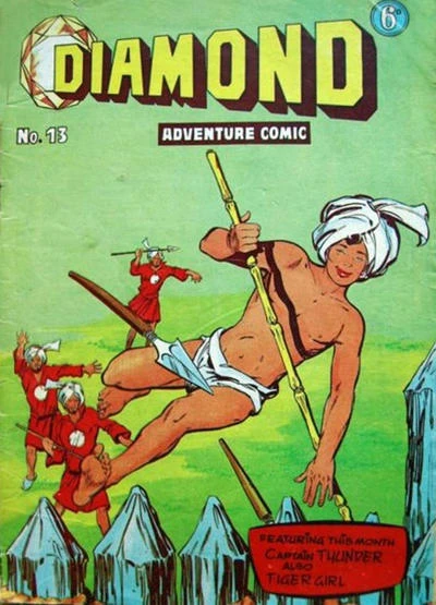 Cover of Issue #13