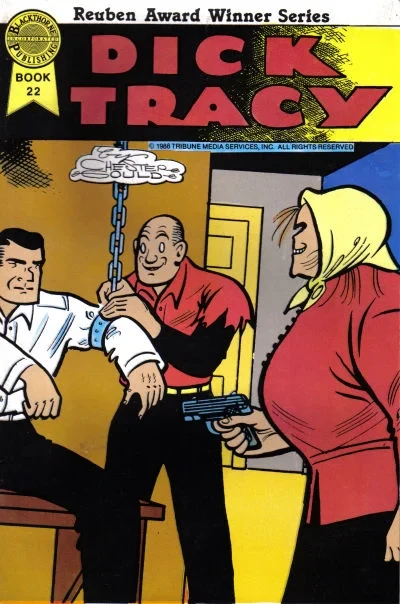 Cover of Issue #22