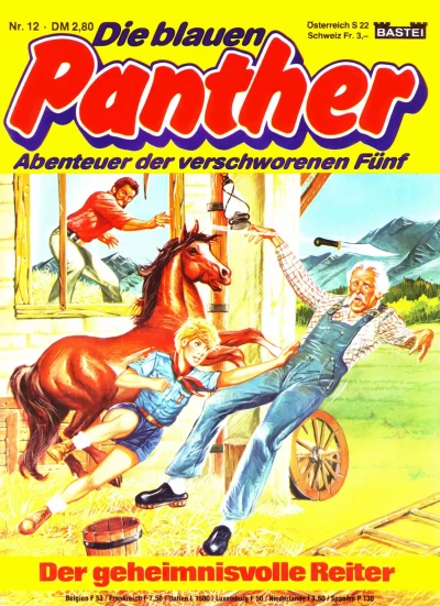 Cover of Der geheimnisvolle Reiter