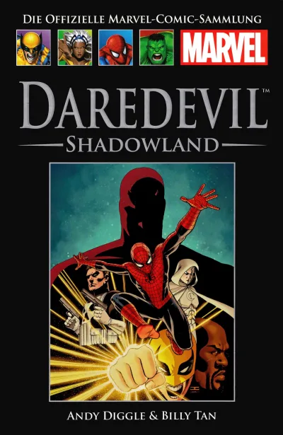 Cover of Daredevil: Shadowland