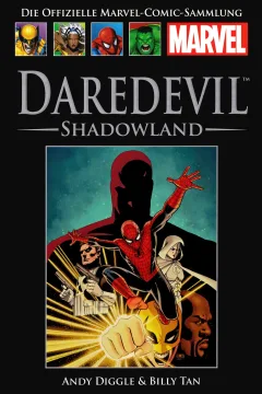 Daredevil: Shadowland