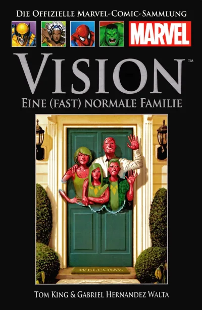 Cover of Vision: Eine (fast) normale Familie