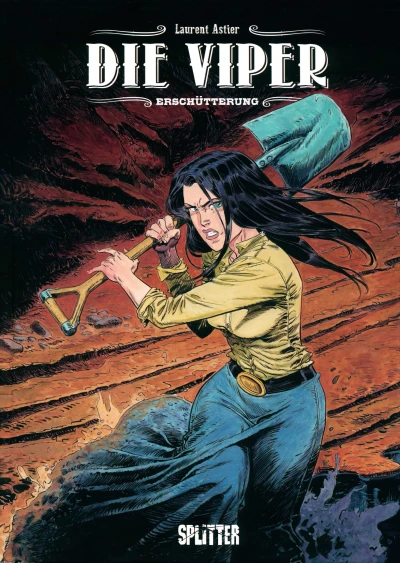 Cover of Erschütterung