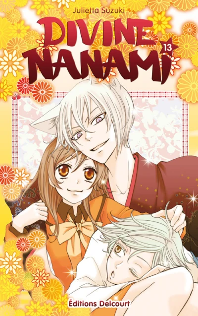 Cover of Tome 13