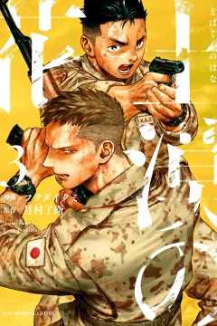 Vol. 3