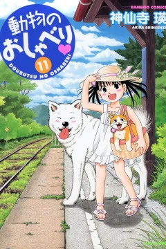 Vol. 11