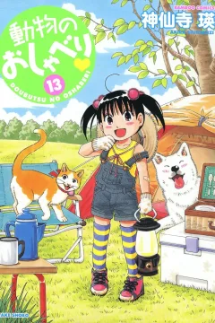 Vol. 13