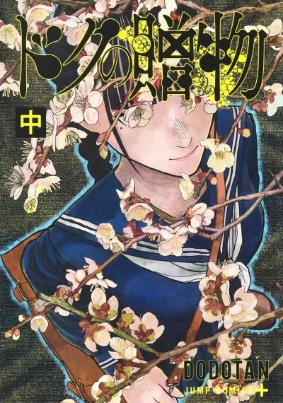 Cover of 中