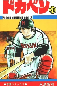 Vol. 20