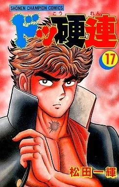Cover of Vol. 17