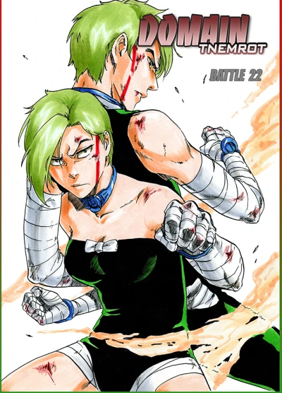 Cover of Battle 22