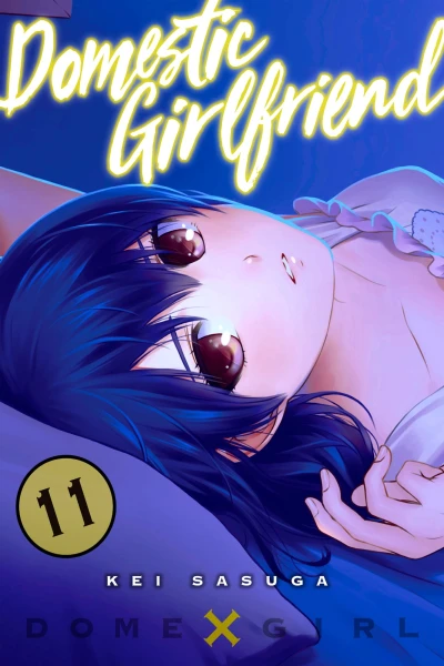 Cover of Vol. 11