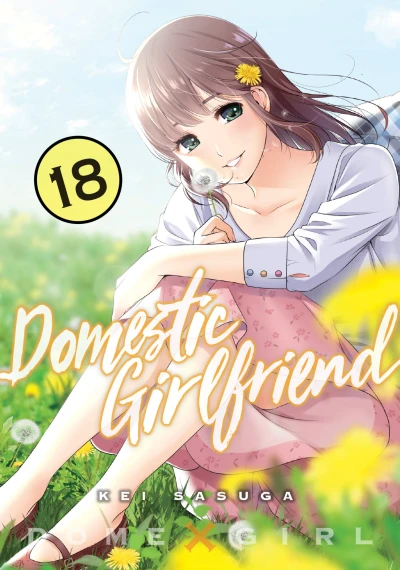 Cover of Vol. 18