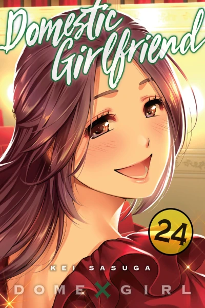 Cover of Vol. 24