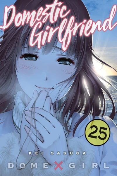 Cover of Vol. 25