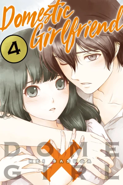 Cover of Vol. 4