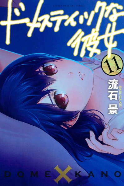 Cover of Vol. 11