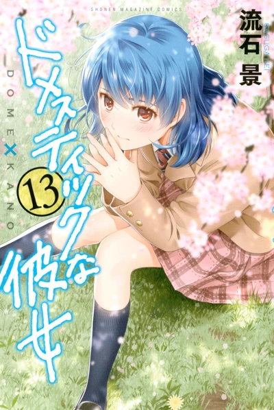 Cover of Vol. 13