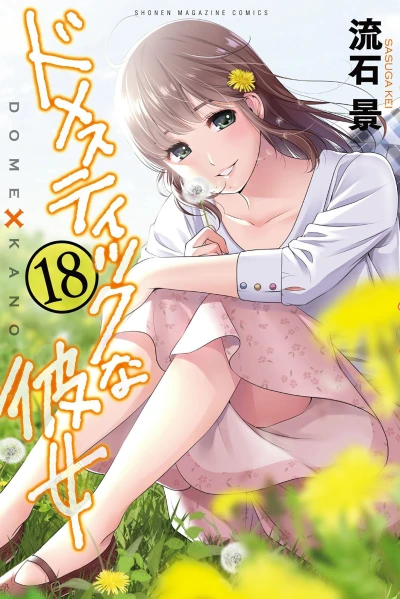 Cover of Vol. 18