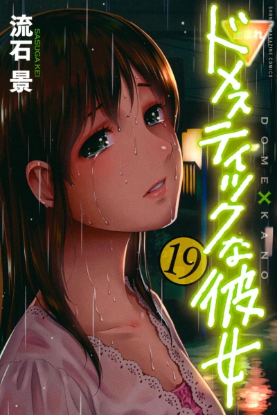 Cover of Vol. 19