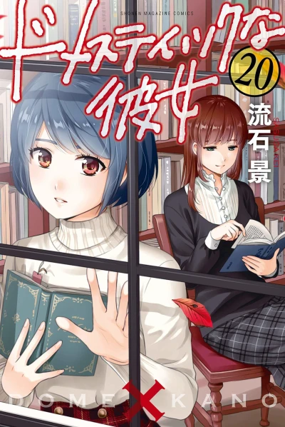 Cover of Vol. 20