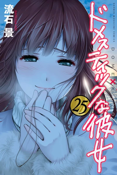 Cover of Vol. 25