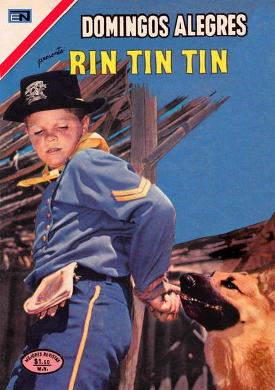 Cover of Rin Tin Tin