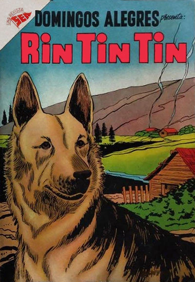 Cover of Rin Tin Tin