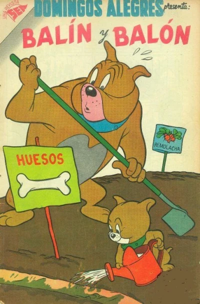 Cover of Balin y Balon