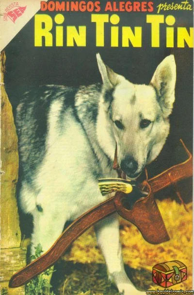Cover of Rin Tin Tin